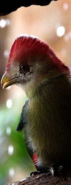 Butterfly Park Empuriabrava-Alt Emporda