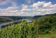 Rheinsteig景点图片