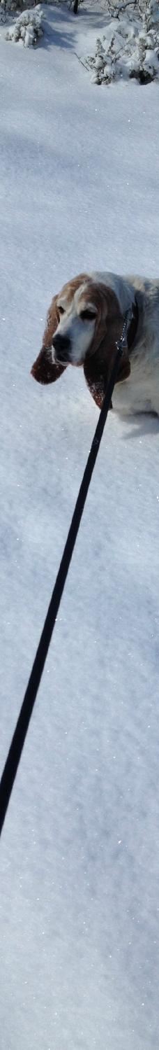 Dimple Dell Regional Park-山迪