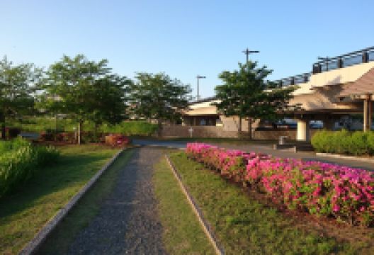 千波湖步行道景点图片