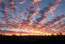 Whitney Oaks Golf Club景点图片