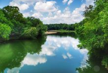 Swinging Bridge景点图片