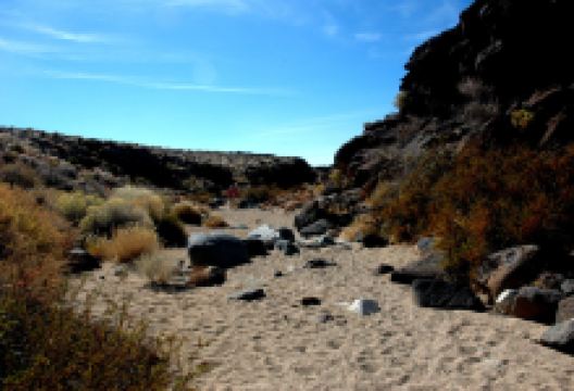 Maturango Museum景点图片