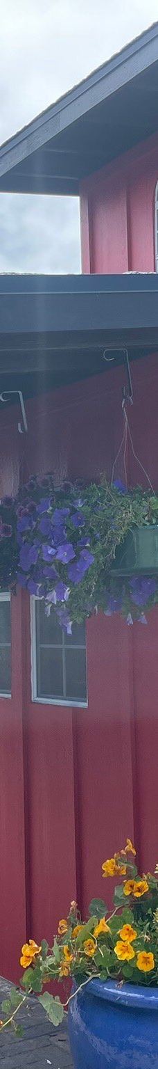 Oregon Coast Scenic Railroad-加里波第