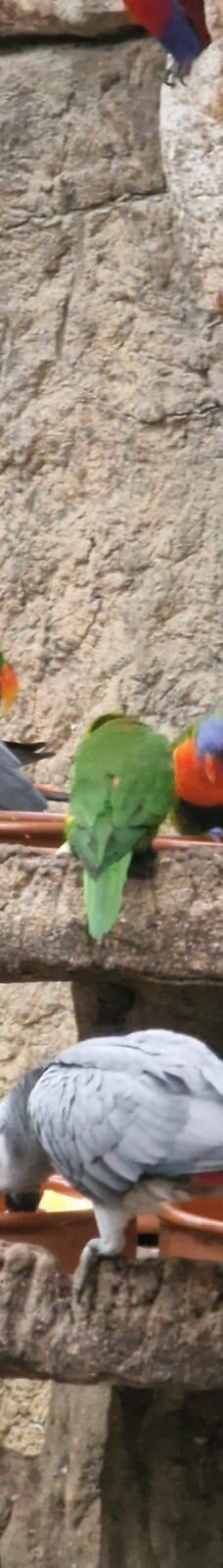 Butterfly Park Empuriabrava-Alt Emporda