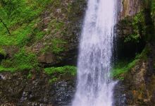 Tahiti Safari Expedition景点图片
