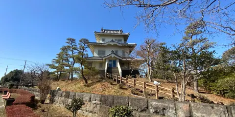 騎西城