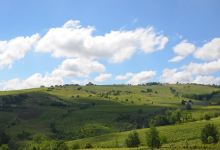 Azienda Vitivinicola Vigano景点图片