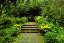 Arboretum Sumber Brantas景点图片