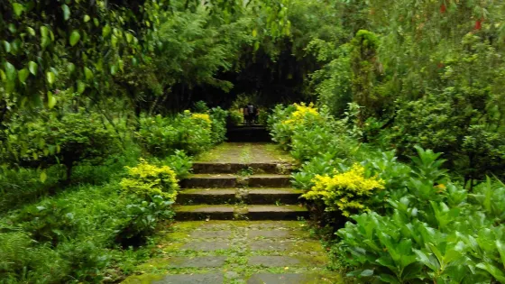 Arboretum Sumber Brantas