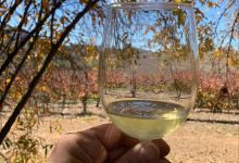 Principe di Tricase Winery景点图片