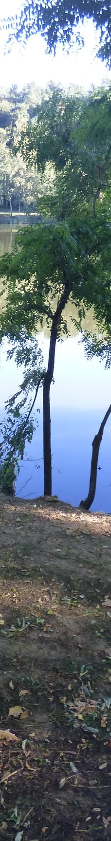 Lac de Creutzwald-柯哲斯瓦尔德拉克鲁瓦