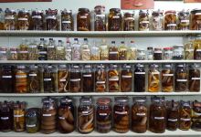 Ayr Nature Display景点图片