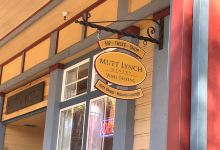Mutt Lynch Winery景点图片