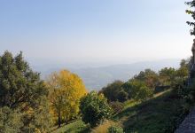 Azienda Agricola Rocca Giovanni景点图片
