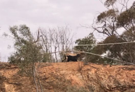 Umberumberka Reservoir景点图片