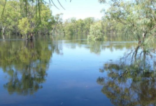 Murrumbidgee Junction Reserve景点图片