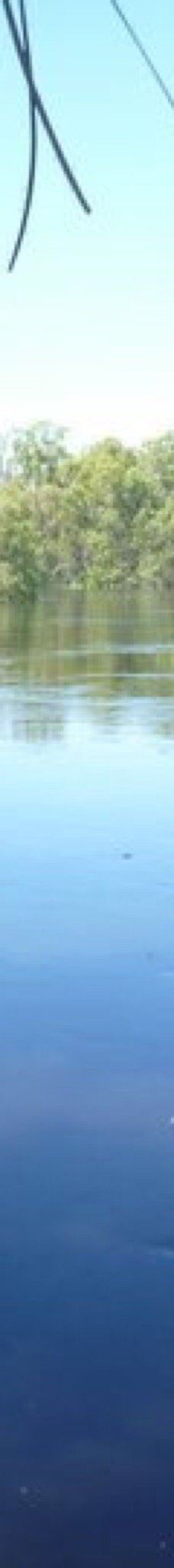 Murrumbidgee Junction Reserve-巴尔兰纳德