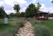 dutlu Korulugu Piknik Alanı景点图片