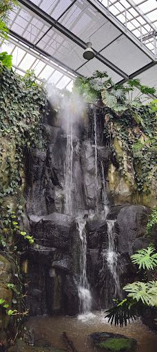 Biotropica, animal gardens-瓦德勒伊