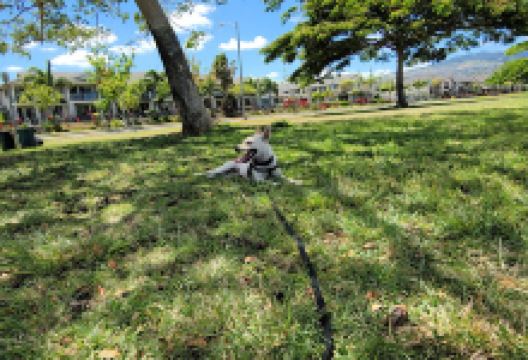 Mehana Neighborhood Park (Kapolei Greens)景点图片