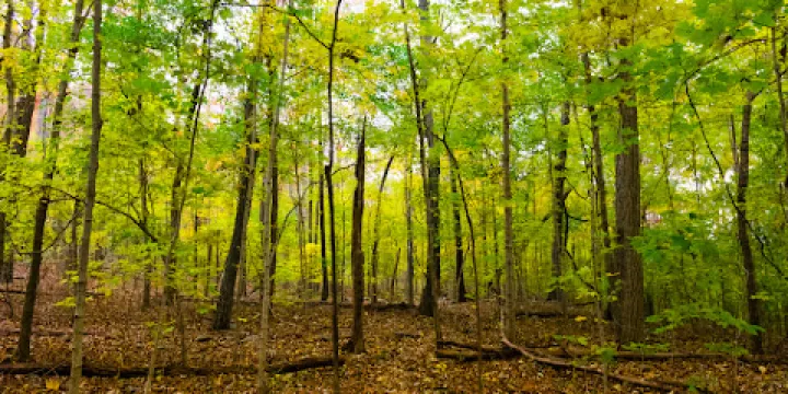 Monte Sano Nature Preserve