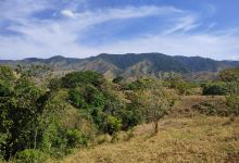 Forest Reserve La Tronosa景点图片