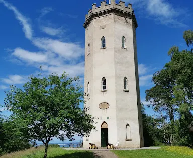 The Nelson Tower