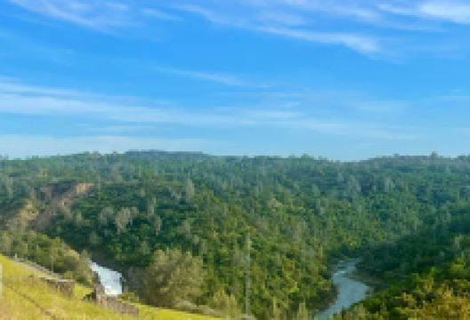 Observation Point Day Use Area景点图片