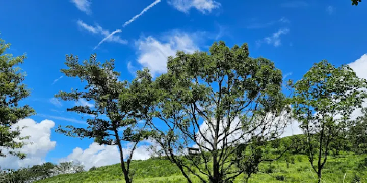 平野台高原展望所