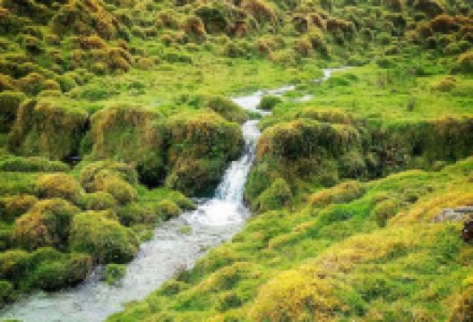 Caldeira景点图片