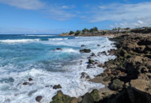 Parque Duhamel景点图片