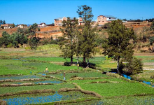 Antsirabe. Madagascar景点图片