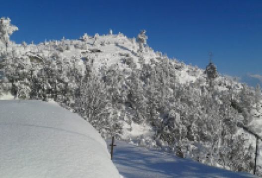 Oshin Nature Study Camp (Kabila Camps) Almora景点图片