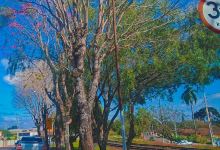 Praça Padre Fidelis Rott景点图片