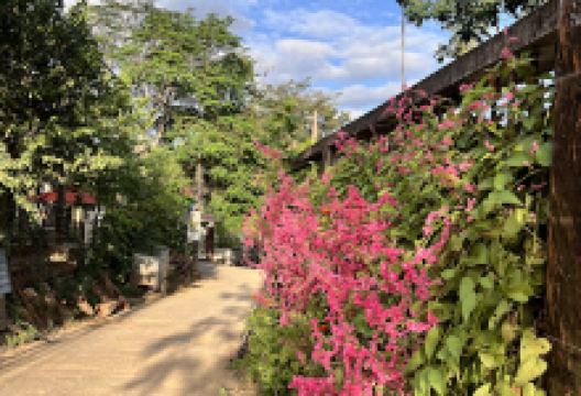 Du Lịch Cộng Đồng Khe Rạn景点图片