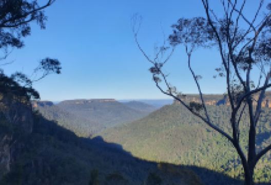 East Rim and Wildflower walking tracks景点图片