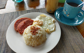 Shanedel's Inn & cafe
