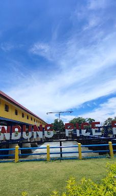 Bendungan Pice-Selingsing