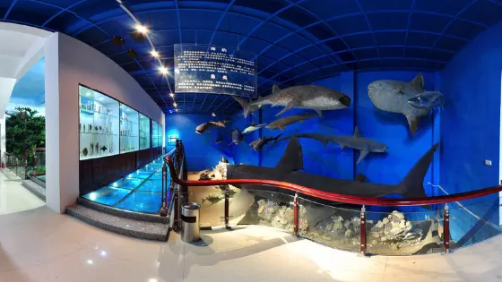 溫州金洲動物博物館