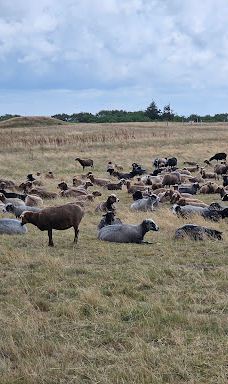 Morsum-Kliff-摩尔苏姆