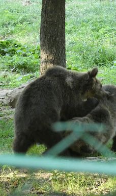 Zoo Kosice-科希策1区