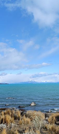 Walichu tip (Cuevas Gualicho)-阿根廷湖县