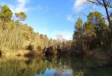 Presa de Jorba景点图片