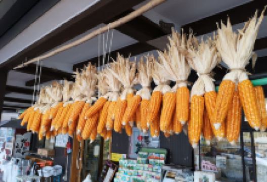 Takachiho Gamadase Market购物图片