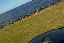 Palm Beach County Park Maintenance景点图片