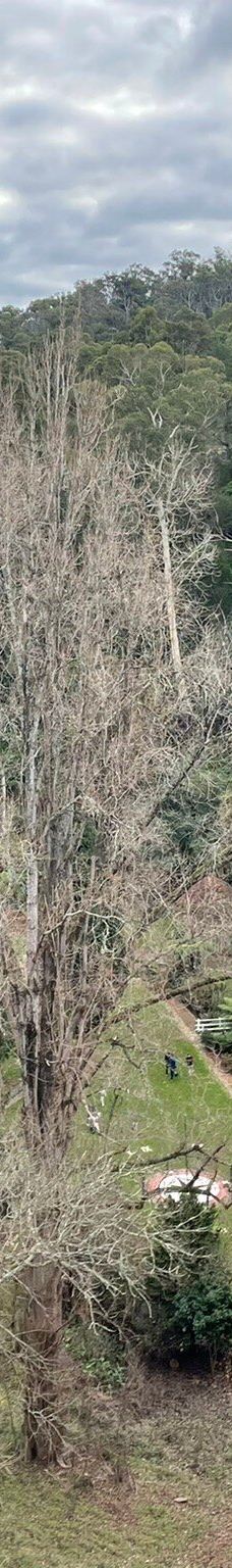 Maroondah Reservoir Park-希尔斯维尔