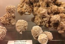 Mineralogical Museum景点图片