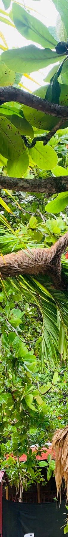 卡维塔国家公园-Talamanca