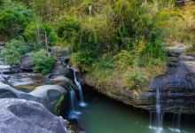 Pha Taem National Park景点图片